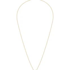BDM Studio Court^Collier court Idylle