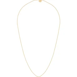 BDM Studio Court^collier court luz