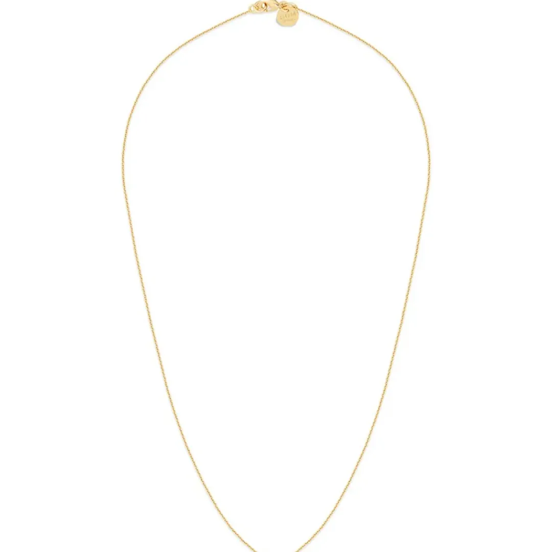 BDM Studio Court^Collier Secret
